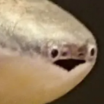 kagebouzu's Avatar