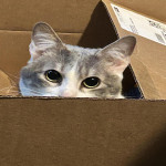 Lexi's Avatar