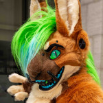 VezeRabbit's Avatar