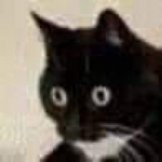 LiuHateLove's Avatar