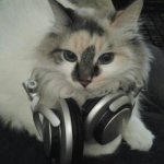 StarSprout's Avatar