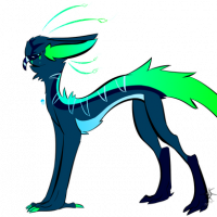 Thumbnail for MYO-CCCAT-042