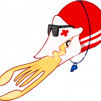 Thumbnail for OFFICIAL-NAUTIPOD-040