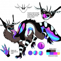 Thumbnail for MYO-CCCAT-207