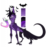 Thumbnail for MYO-CCCAT-365: Shade