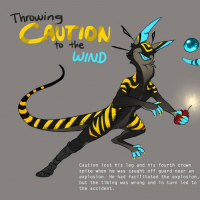 MYO-CCCAT-404: Caution