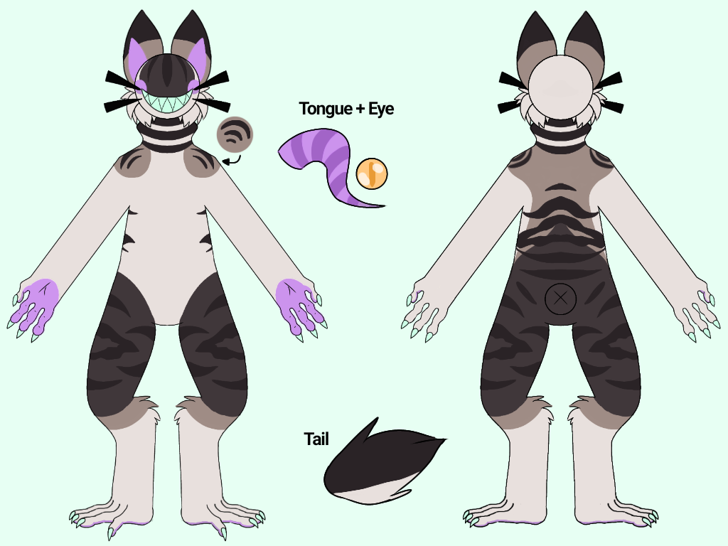 MYO-CCCAT-527: Chef