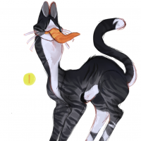 MYO-CCCAT-597