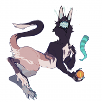 Thumbnail of MYO-CCCAT-677: Finnley