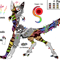 Thumbnail for MYO-CCCAT-873