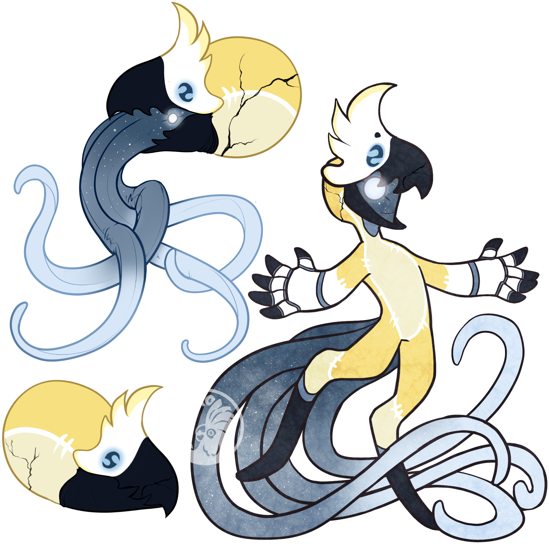 MYO-NAUTIPOD-046: Byrd