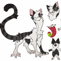 Thumbnail for MYO-CCCAT-1221: 🐈🐾-LEWIS-🐾🐈
