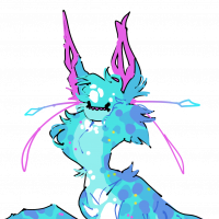 Thumbnail for MYO-CCCAT-1229: TBN