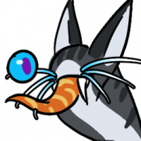 Thumbnail of MYO-CCCAT-597