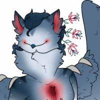 Thumbnail for MYO-CCCAT-1808: Vena Cava