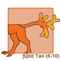 Split Tail (11-20)