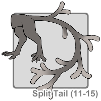 Split Tail (21-40)