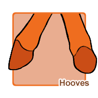 Hooves