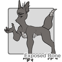 Exposed Bone