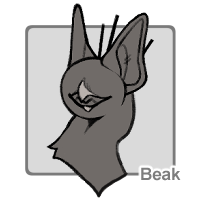 Beak