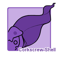 Corkscrew Shell