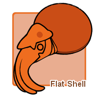 Flat Shell