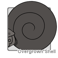 Overgrown Shell