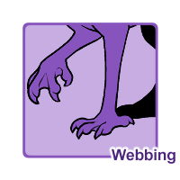 Webbing