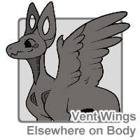 Wing Vents Elsewhere on Body